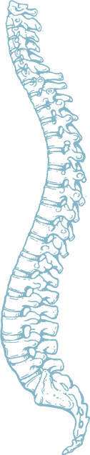 Procedures spine